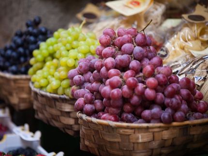 China autoriza la exportación de uva de mesa española