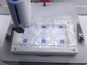 Primeros modelos de piel bioimpresos en 3D, incluidos los macrófagos inmunes