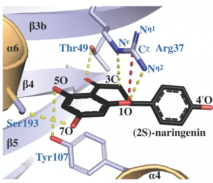 Salk Institute/ACS Catalysis