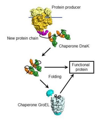 MPI of Biochemistry