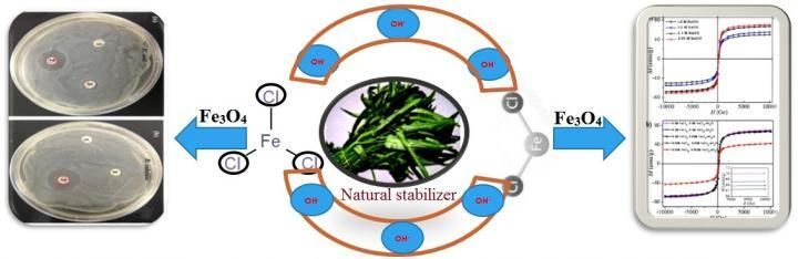 Eco-friendly method for the synthesis of iron oxide nanoparticles - Producing nanomaterials from plant extracts