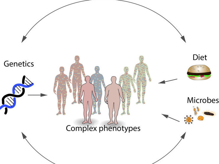 La dieta revela asociaciones genéticas ocultas - Estudio publicado en Nature Communications