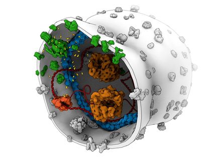 Wissenschaftler konstruieren Energieerzeugungseinheit für eine synthetische Zelle