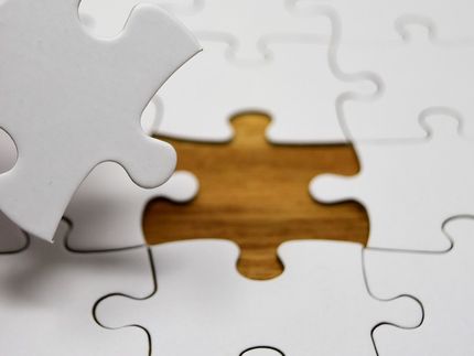 New piece of Alzheimer's puzzle found