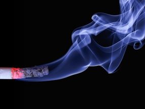 Nikotinfreier Tabak mit Genschere erzeugt