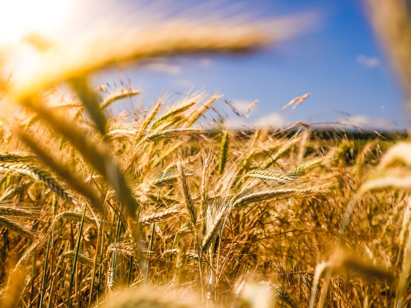 Die nächste Agrarrevolution ist da