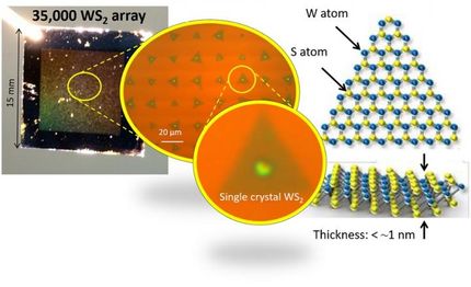 Clarification of a new synthesis mechanism of semiconductor atomic sheet