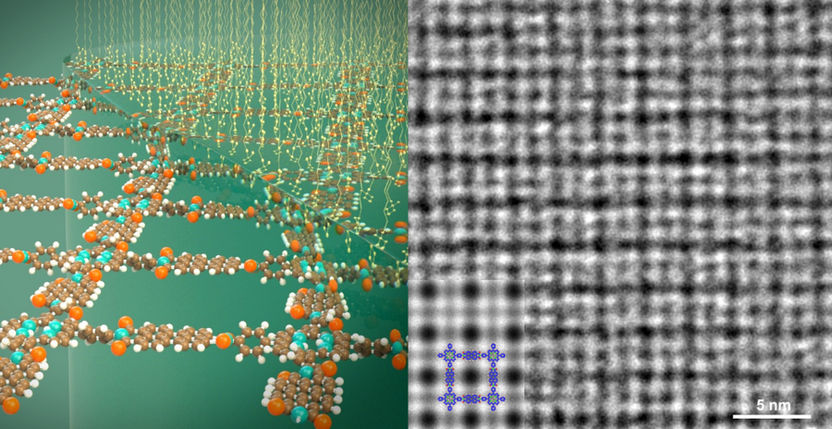 Solving the Puzzle of 2D Disorder, News