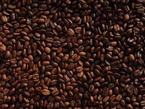 Kaffee so billig wie selten: Produzenten sehen Existenz gefährdet