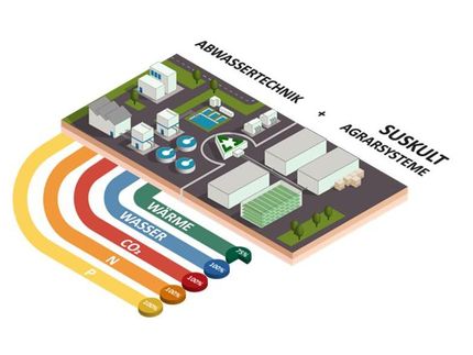 Schematische Darstellung einer kreislaufbasierten und urbanen Agrarproduktion mithilfe einer Kläranlage.