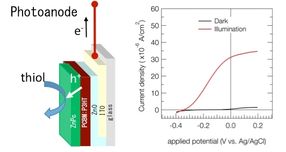 Catalizadores electroquímicos respetuosos con el medio ambiente que utilizan células solares para cosechar la energía del sol