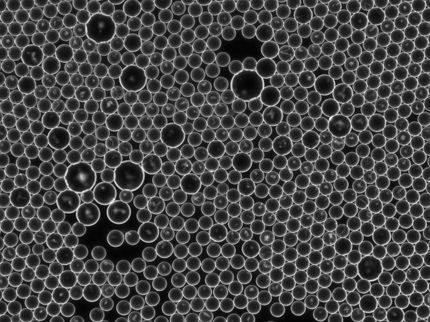 BASF und Biomillenia bündeln ihre Kompetenzen in der Mikrobiomforschung