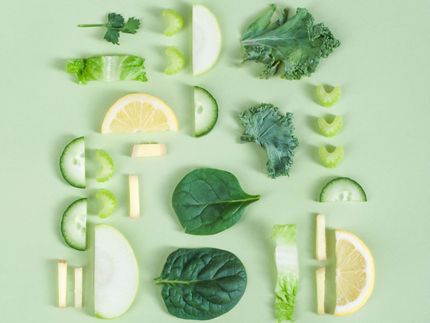 Tendencias actuales en alimentación en Santander Foodie