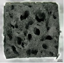 Unique material from marine bath sponge skeleton