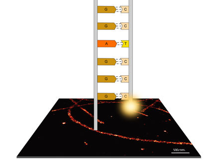 10-fach schnellere Superauflösungsmikroskopie