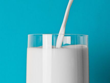 Molkerei-Unternehmen nehmen Milch vom Markt