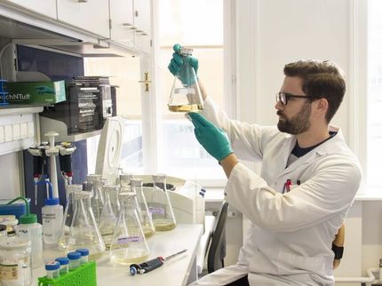 Ein schneller Weg zur Bakterien-DNA