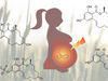 Babys im Mutterleib von Umweltöstrogenen belastet