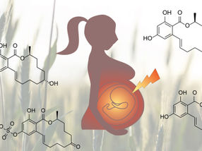 Babies burdened by environmental estrogens in mothers' wombs