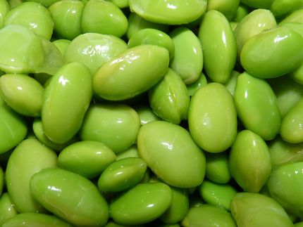 Cargill to invest $225 million at facility in Sidney, Ohio