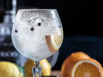 «Dies ist kein Gin»: Alkoholverzicht ohne Geschmacksverlust?