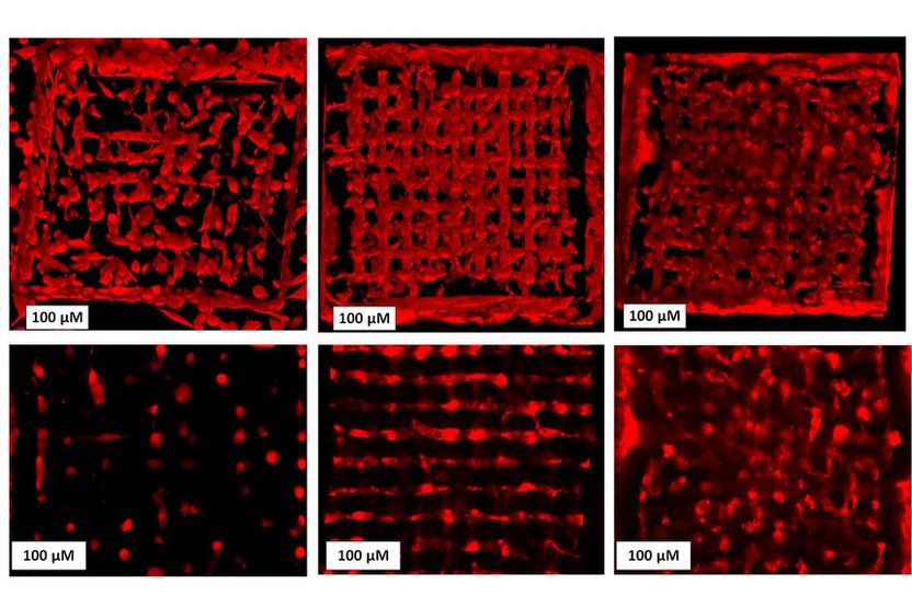 Impresoras 3D ¿Qué son? y la Bioimpresión