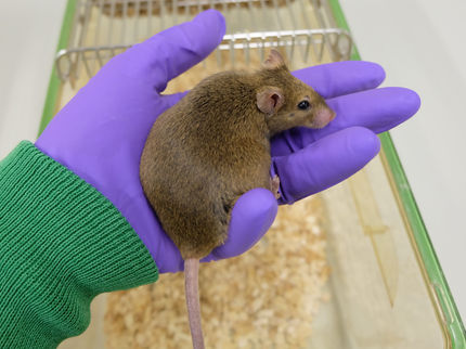 Health in old age is a lifelong affair