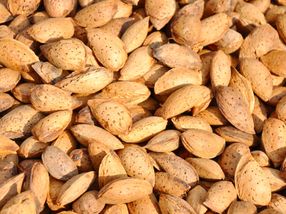 Olam International expands almond ingredients capacity