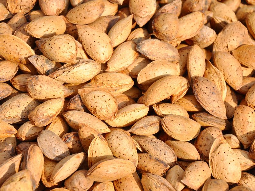 Olam International expands almond ingredients capacity - Aquisition of leading Californian almond processor and ingredient manufacturer Hughson Nut