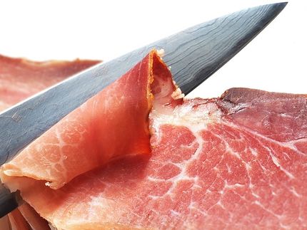 Textura real para carne cultivada en laboratorio