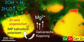 Monitoring the corrosion of bioresorbable magnesium