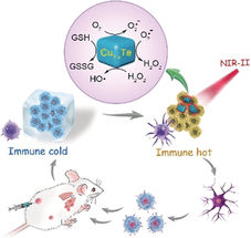 Aufrüstung für das Immunsystem: Nanopartikel als künstliche Enzyme