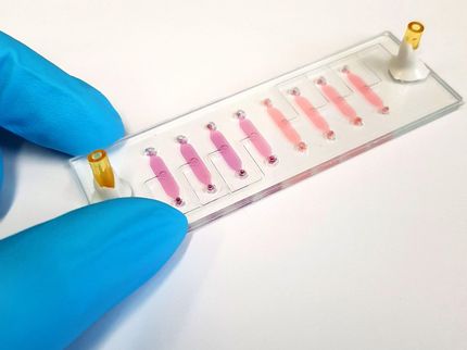 Bio-Chip untersucht mechanische Verletzungen