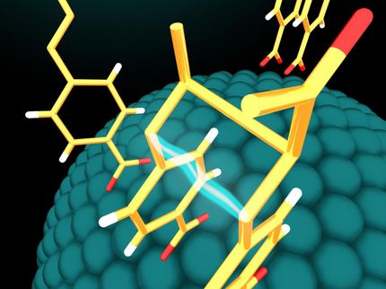 Sichtbares Licht und Nanopartikel-Katalysatoren erzeugen wünschenswerte bioaktive Moleküle