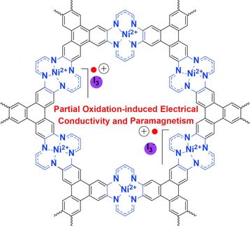 Neues 2D-MOF mit einer ständig wachsenden Liste von Anwendungsmöglichkeiten