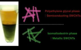 Dietary fiber effectively purifies carbon nanotubes