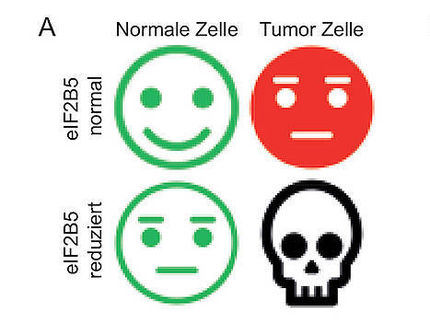 Achilles Heel of Tumour Cells