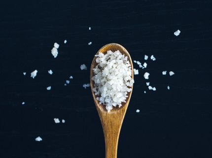 Glutamates Such as MSG Can Help Reduce Americans' Sodium Intake