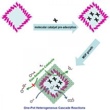 Lab in hollow MOF capsules beyond integration of homogeneous and heterogeneous catalysis