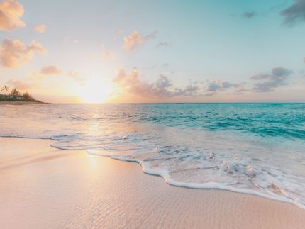 New catalyst efficiently produces hydrogen from seawater