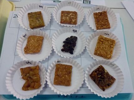 9 Tipos diferentes de Tempe