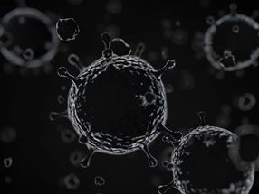 Unbekanntes Virus im menschlichen Körper entdeckt