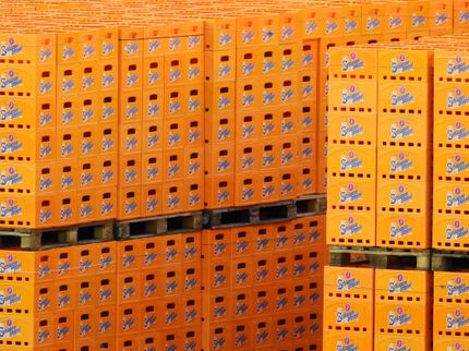 Brauereiverband droht mit Alleingang beim Pfand auf Bierkisten