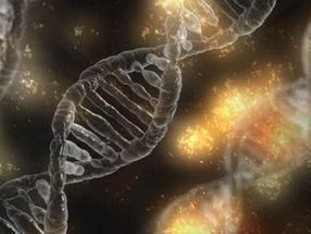 Turning 'junk' DNA into gold