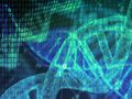 Swiss Army Knife for Genome Research