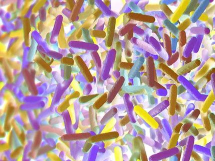 Reinforcing microbiome research for the next generation of health-promoting products