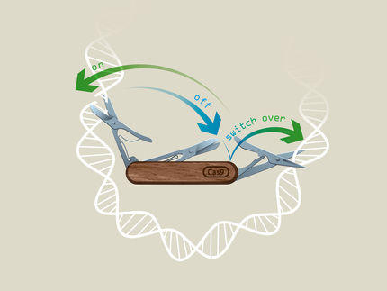 Wiener Forscherteam sorgt für „Feinschliff“ der Genschere CRISPR/Cas9