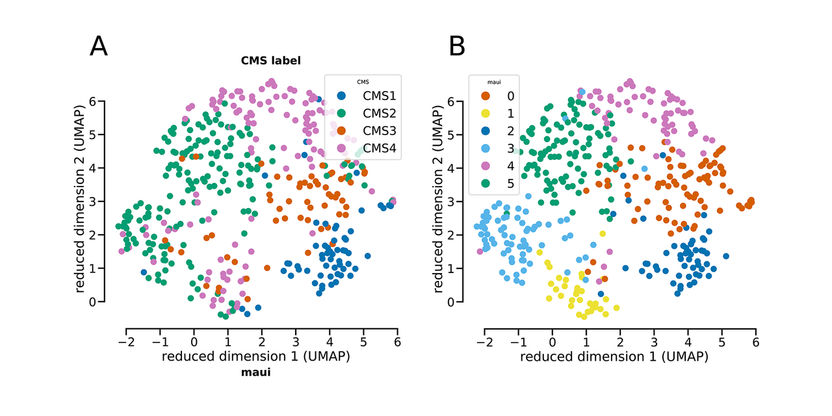 © Akalin Lab, MDC