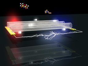 Solving the thermoelectric 'trade-off' conundrum with metallic carbon nanotubes