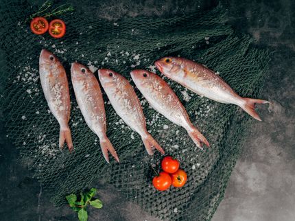 Fish increasingly popular in the EU